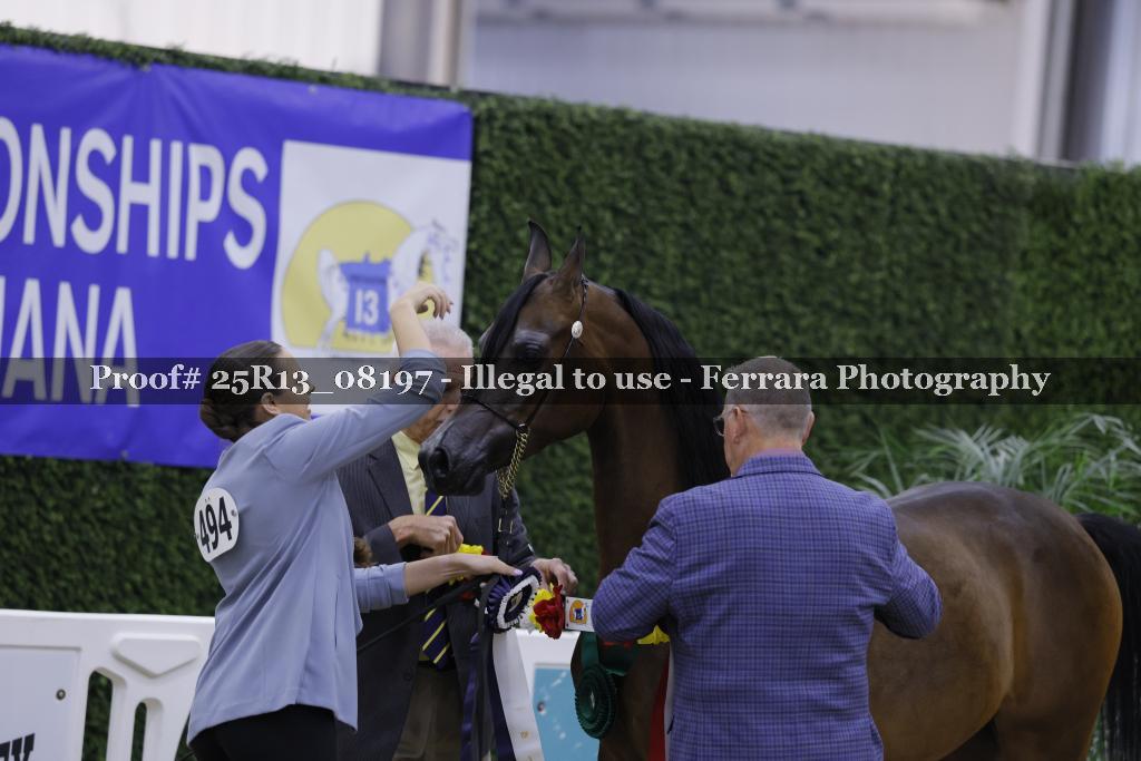 Proof Number 25R13_08197