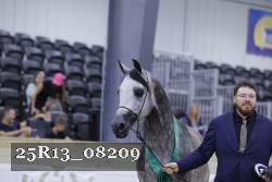 25R13_08209 thumbnail