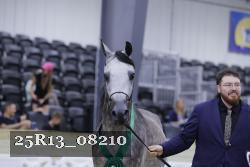 25R13_08210 thumbnail