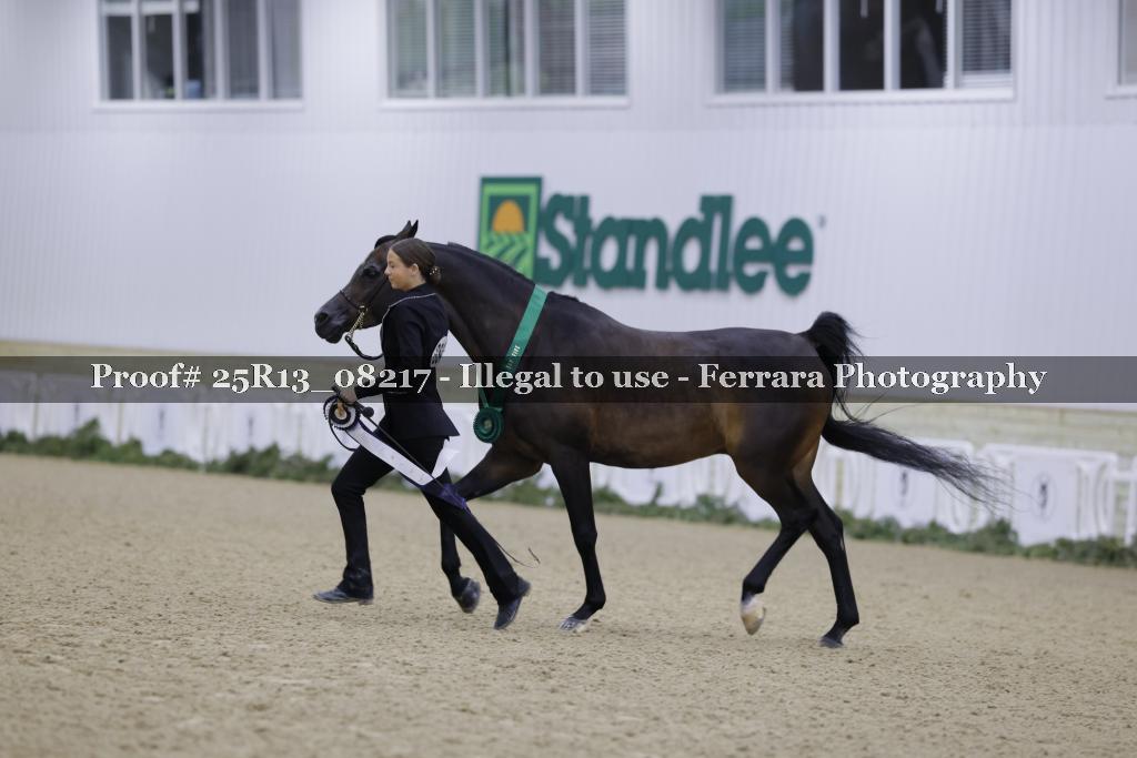 Proof Number 25R13_08217