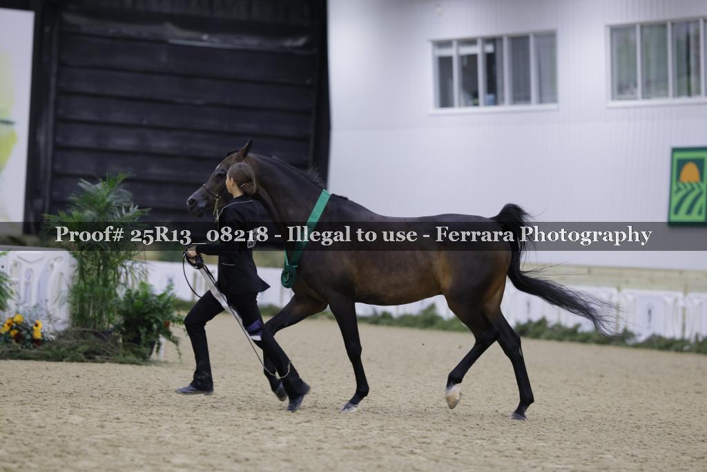Proof Number 25R13_08218