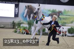 25R13_08237 thumbnail