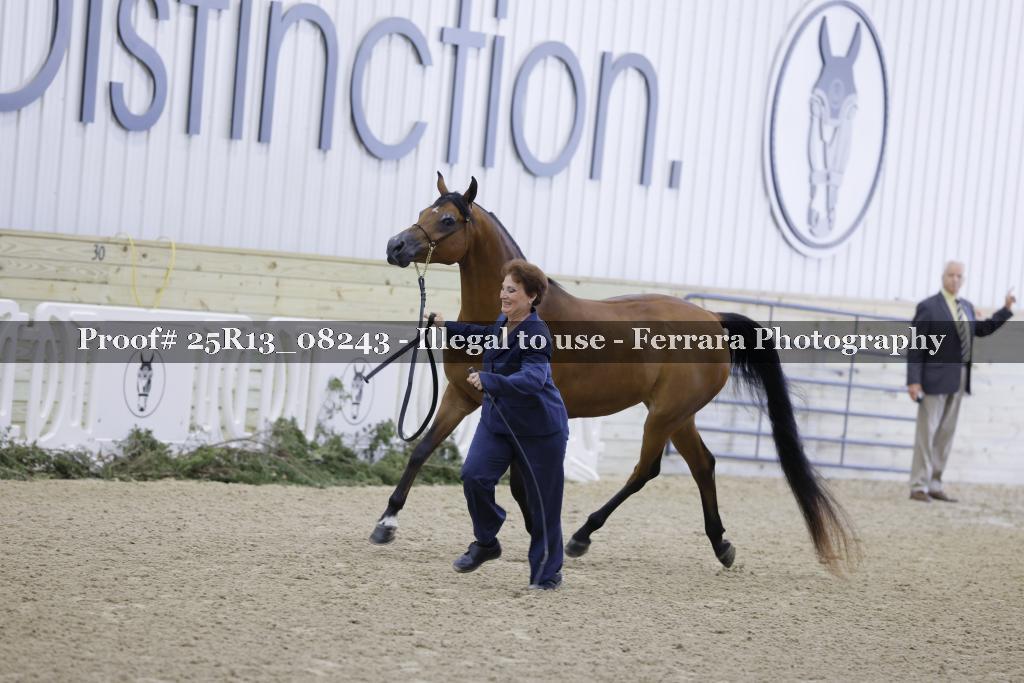 Proof Number 25R13_08243