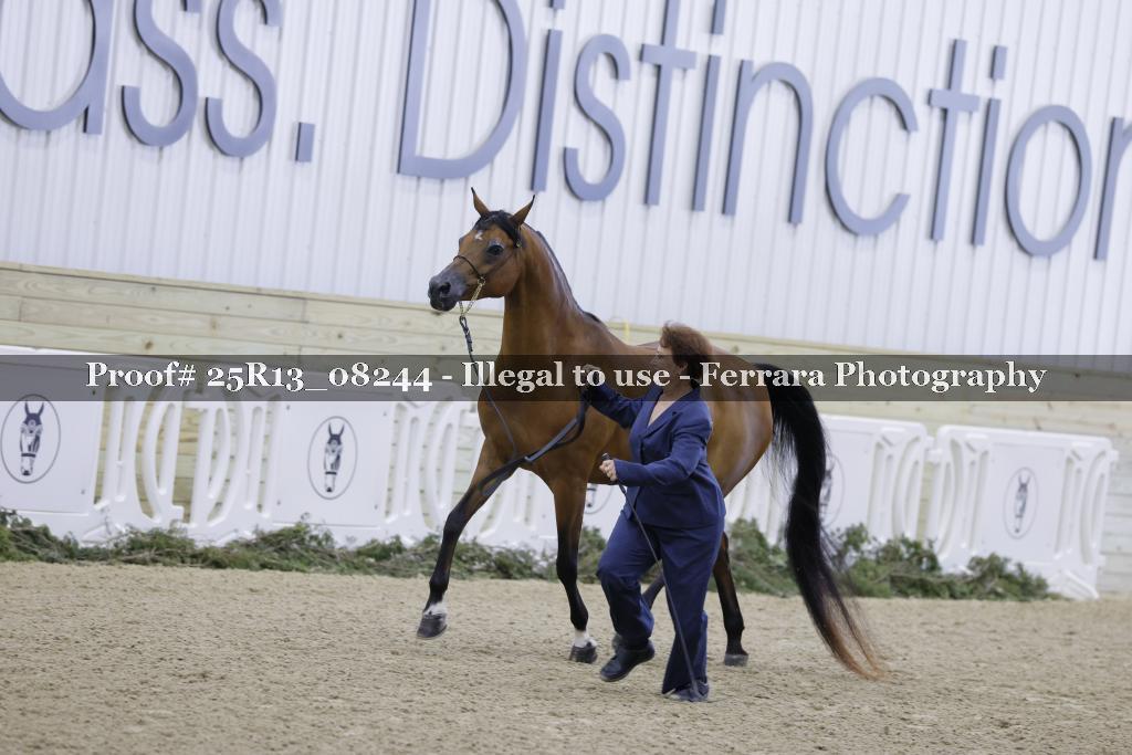 Proof Number 25R13_08244