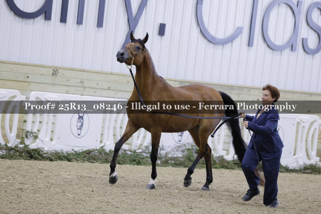Proof Number 25R13_08246
