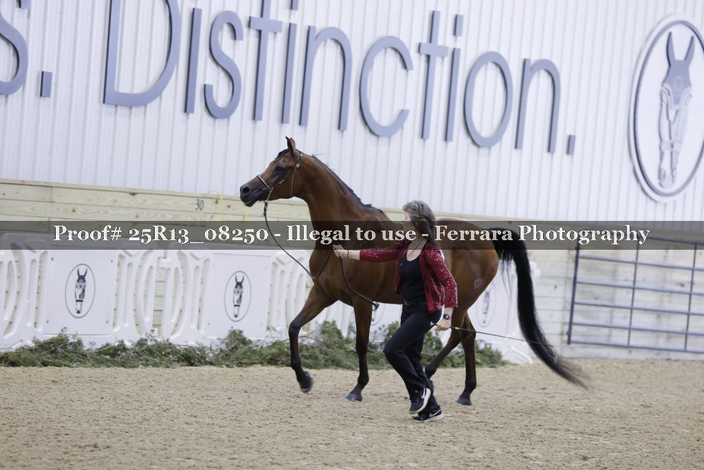 Proof Number 25R13_08250