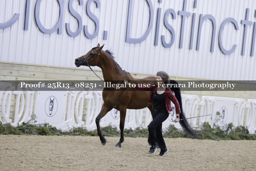 Proof Number 25R13_08251