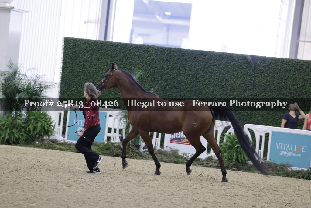 Proof Number 25R13_08426