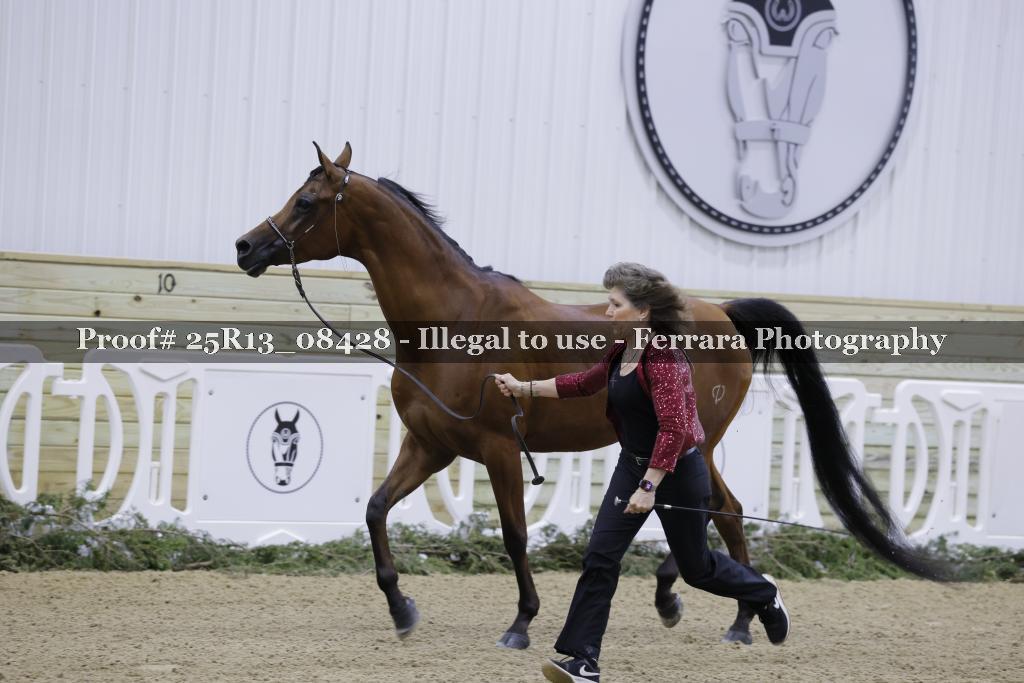 Proof Number 25R13_08428