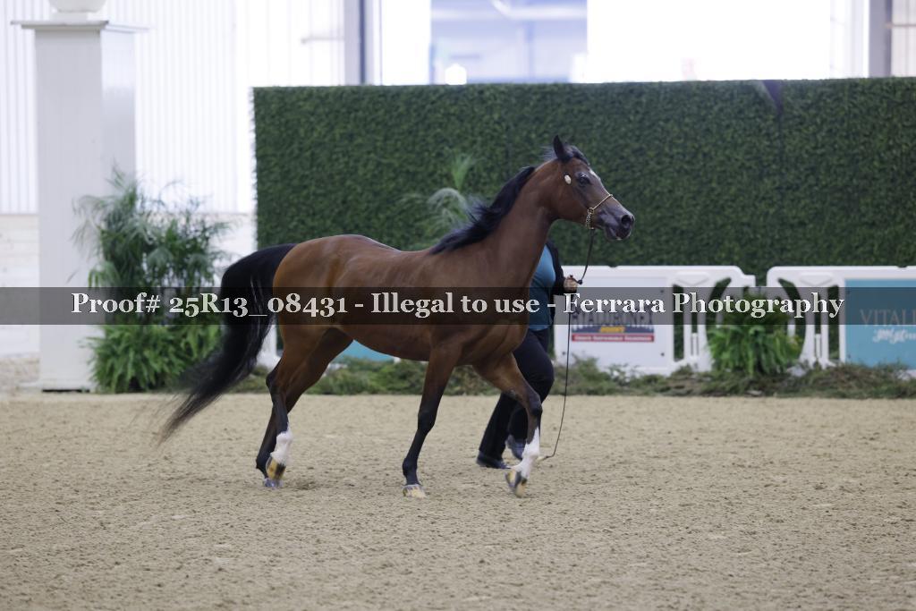 Proof Number 25R13_08431