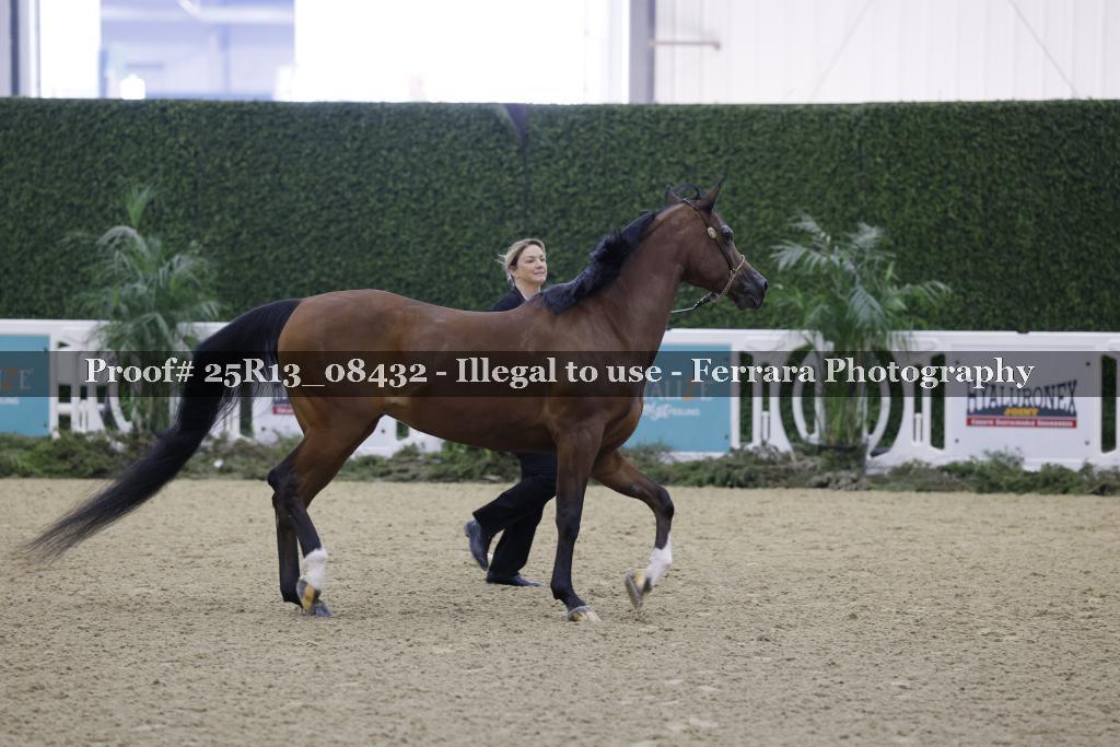 Proof Number 25R13_08432