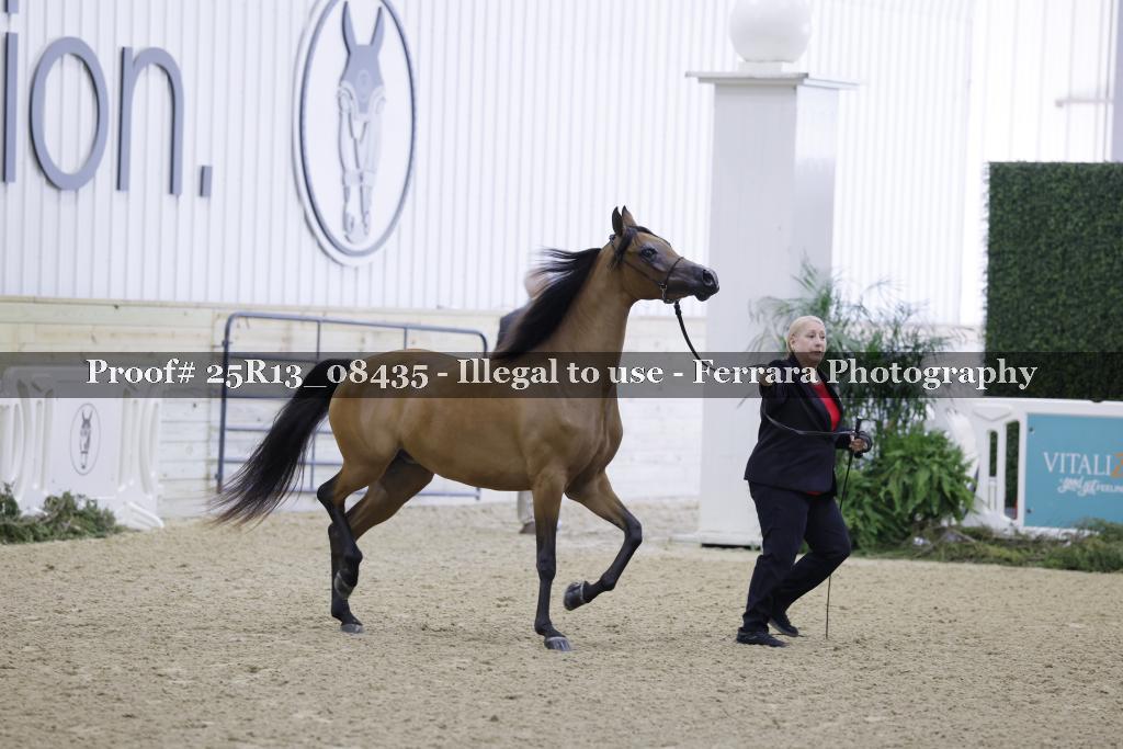 Proof Number 25R13_08435