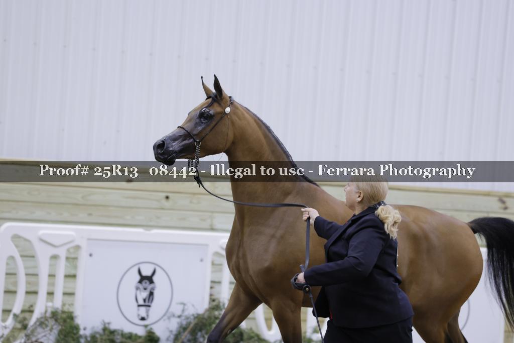 Proof Number 25R13_08442