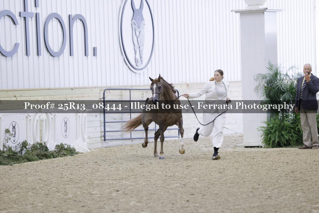 Proof Number 25R13_08444