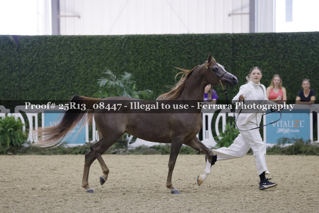 Proof Number 25R13_08447
