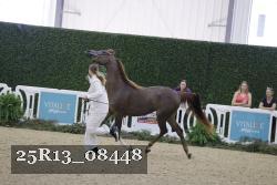 25R13_08448 thumbnail