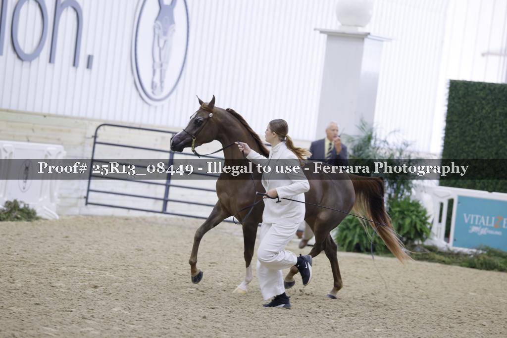 Proof Number 25R13_08449