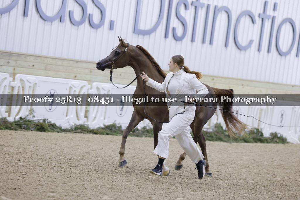 Proof Number 25R13_08451