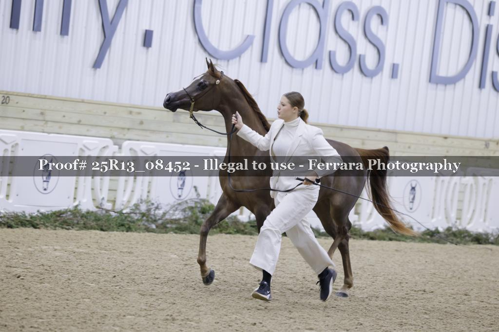 Proof Number 25R13_08452
