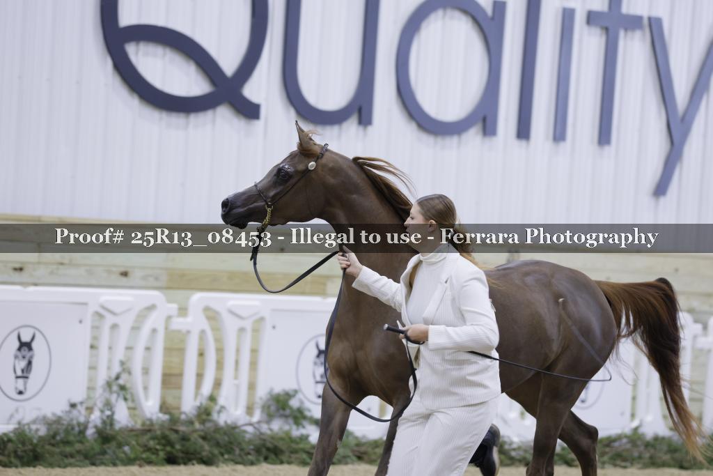 Proof Number 25R13_08453