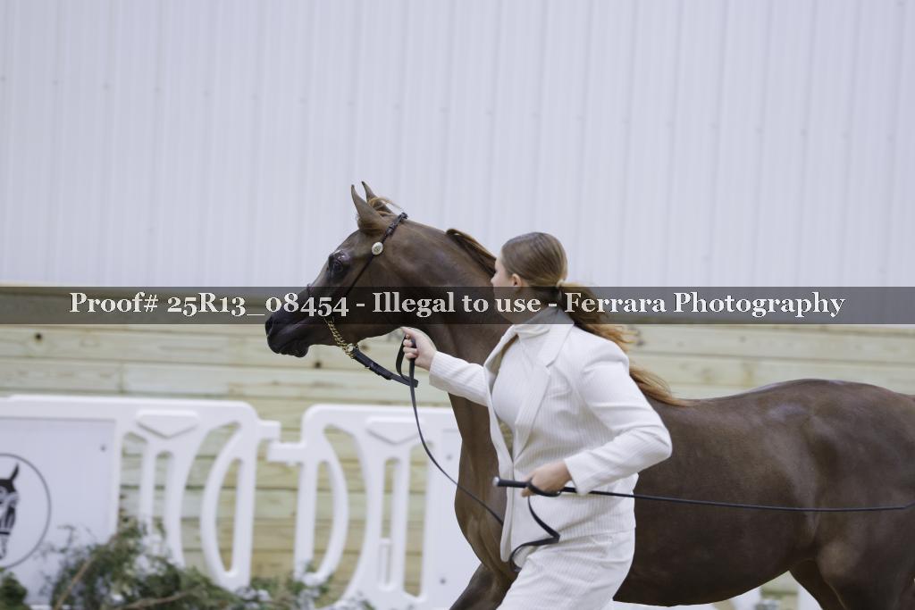Proof Number 25R13_08454