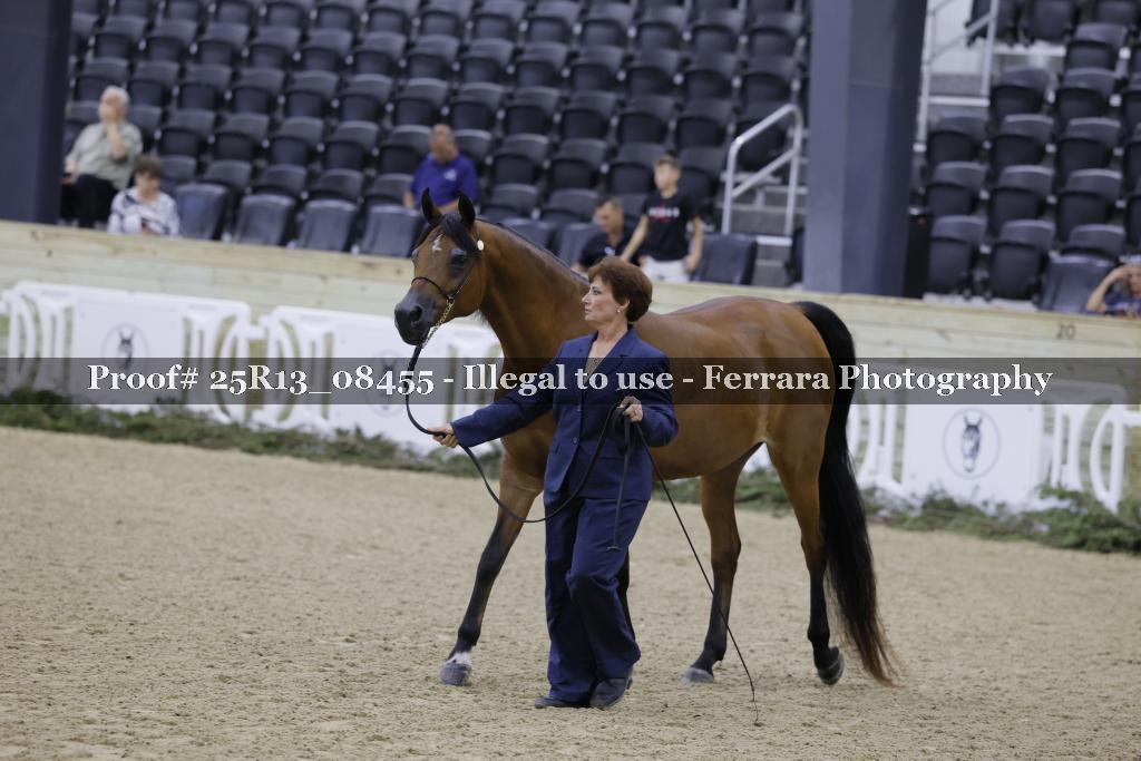 Proof Number 25R13_08455