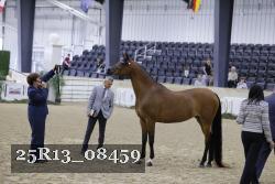 25R13_08459 thumbnail
