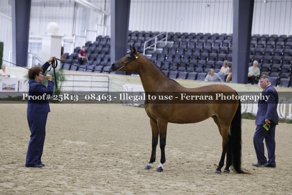 Proof Number 25R13_08463