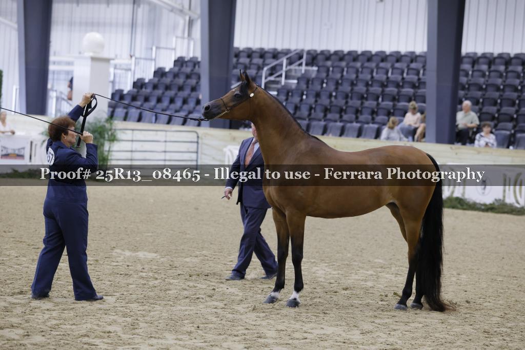 Proof Number 25R13_08465