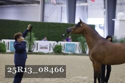 25R13_08466 thumbnail