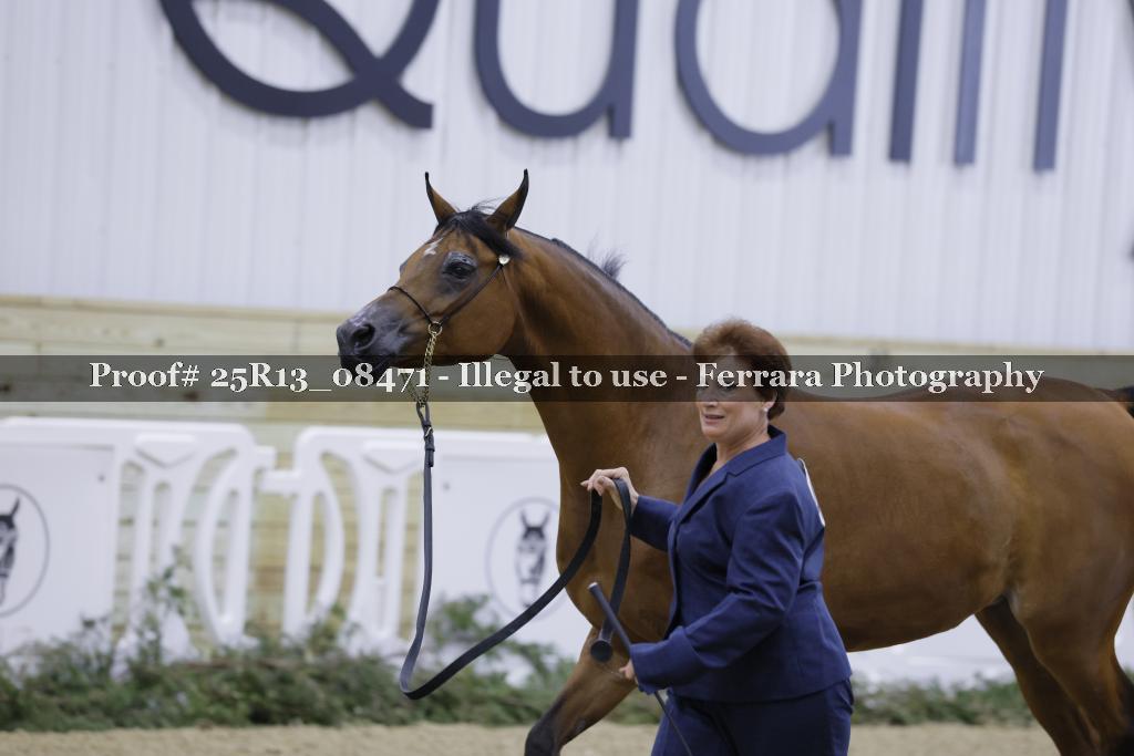 Proof Number 25R13_08471
