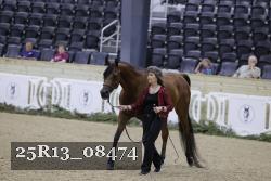 25R13_08474 thumbnail