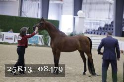 25R13_08479 thumbnail