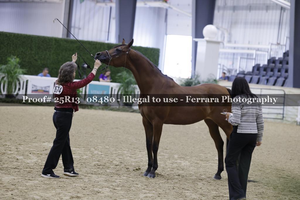 Proof Number 25R13_08480