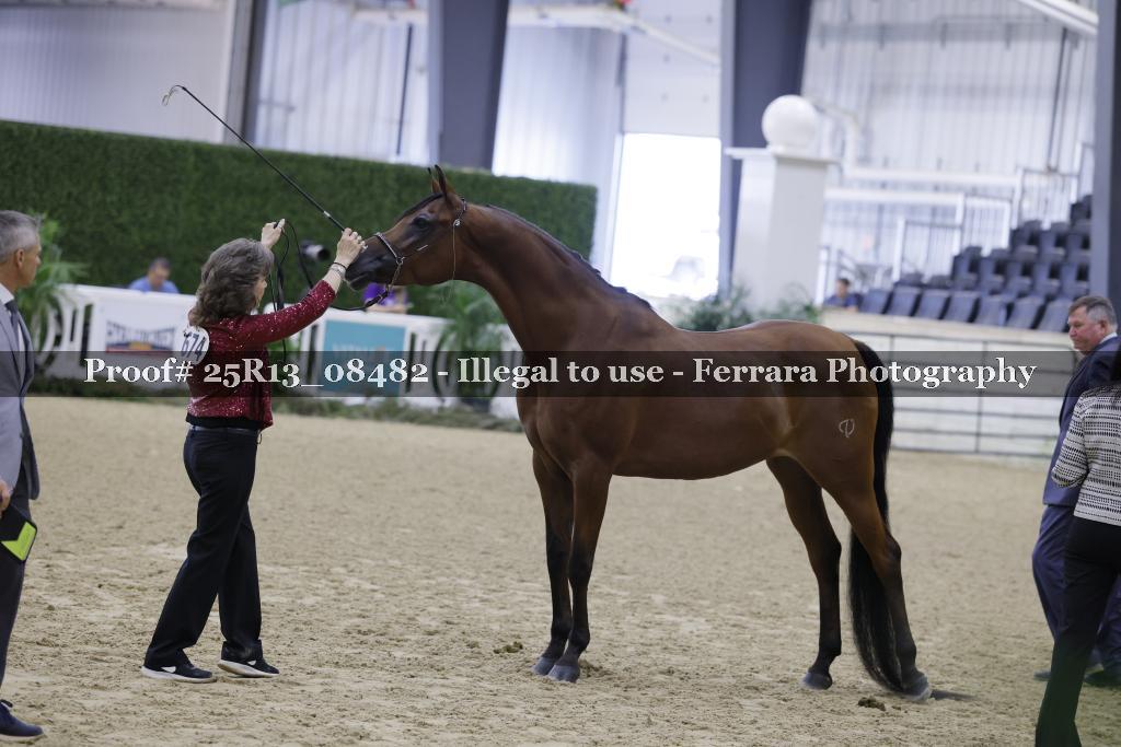 Proof Number 25R13_08482