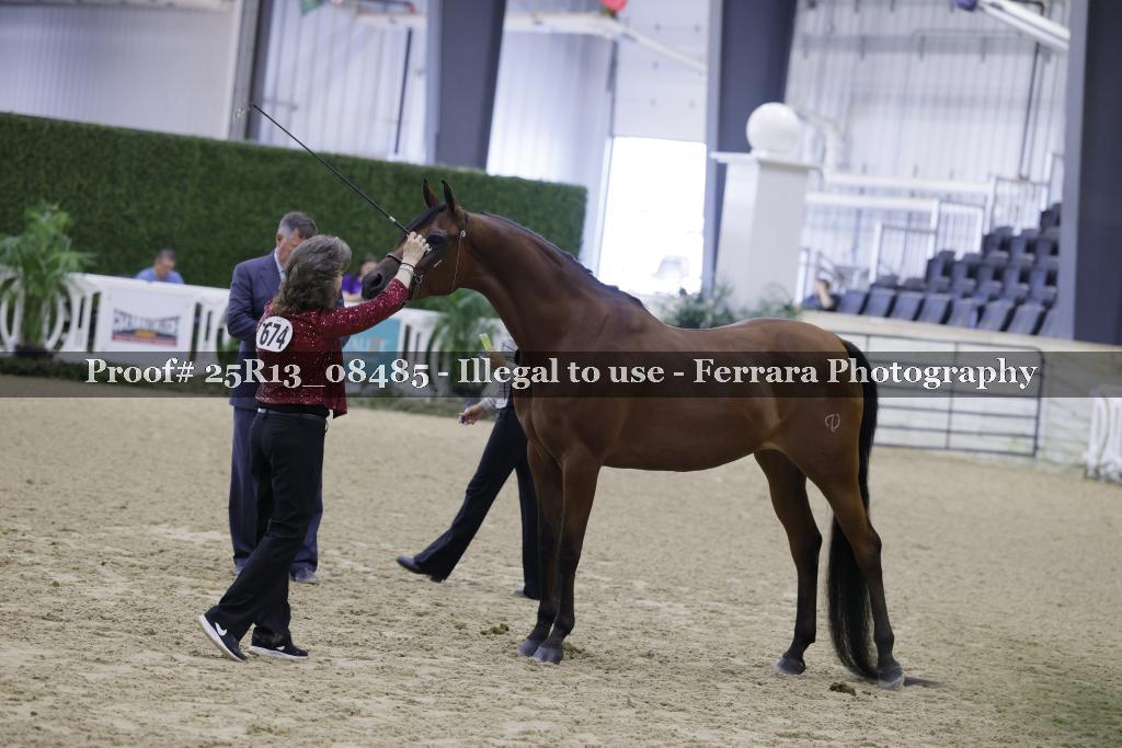 Proof Number 25R13_08485
