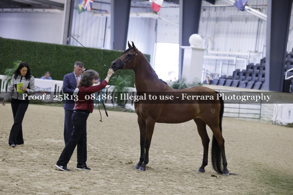 Proof Number 25R13_08486