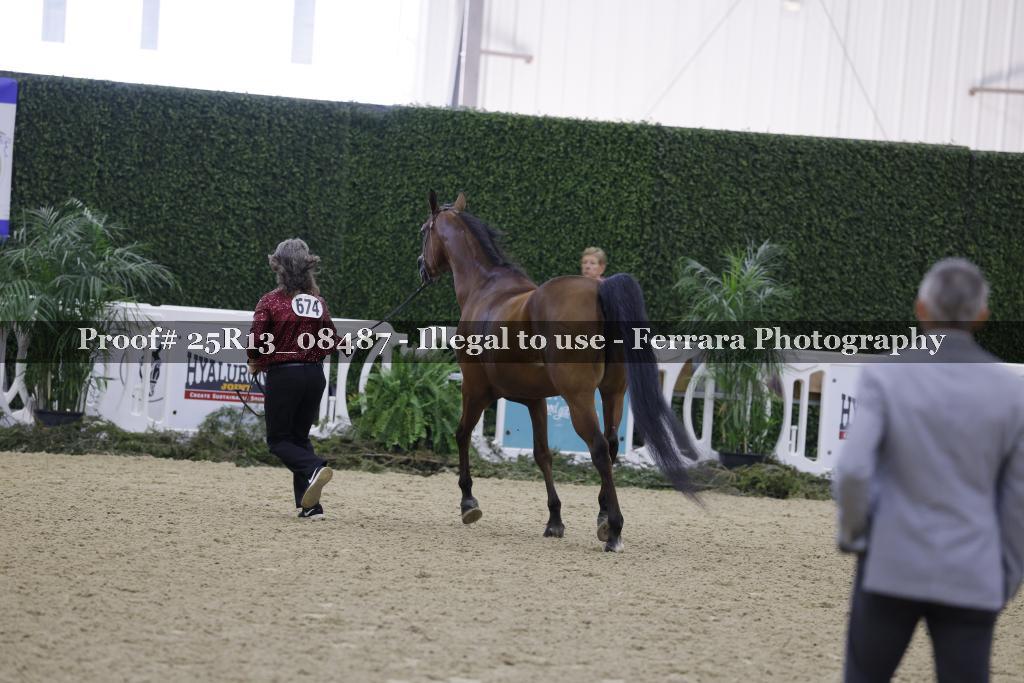 Proof Number 25R13_08487