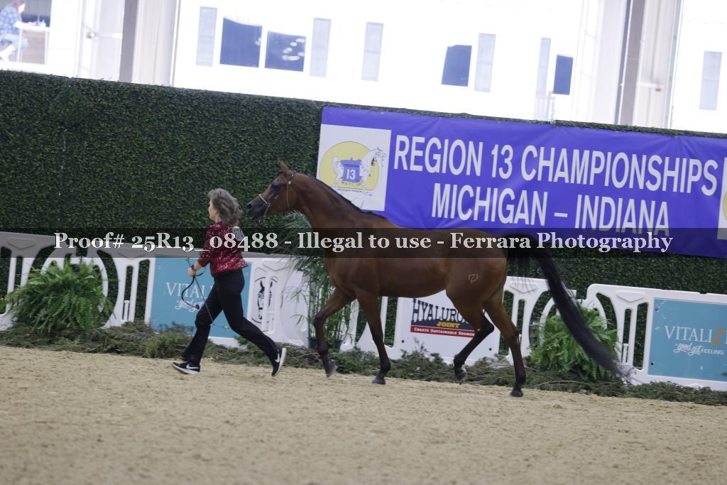 Proof Number 25R13_08488