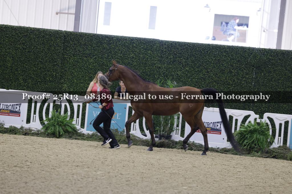 Proof Number 25R13_08489