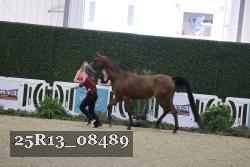 25R13_08489 thumbnail