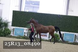 25R13_08490 thumbnail