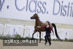 25R13_08491 thumbnail
