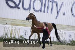 25R13_08492 thumbnail