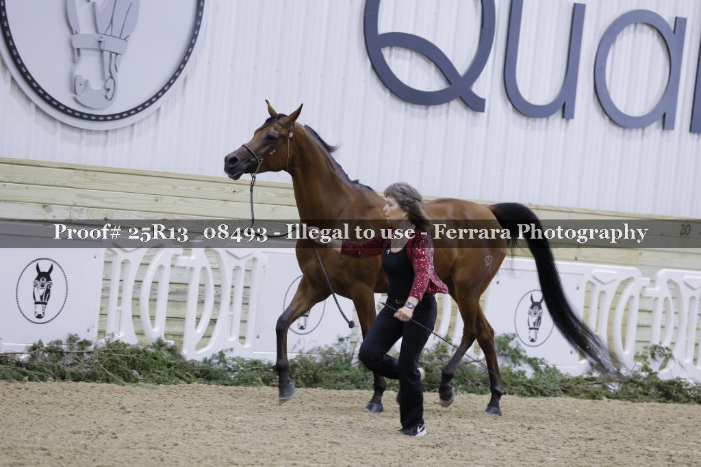 Proof Number 25R13_08493