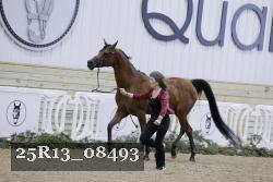 25R13_08493 thumbnail