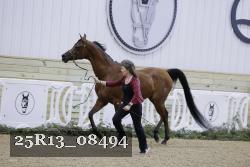 25R13_08494 thumbnail