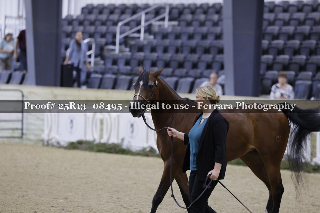 Proof Number 25R13_08495