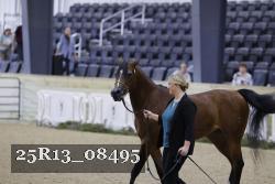 25R13_08495 thumbnail