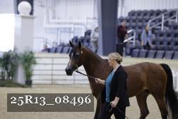 25R13_08496 thumbnail
